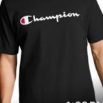 Champion Brand Men’s T-Shirts – Export Garment Factory Stock Lot