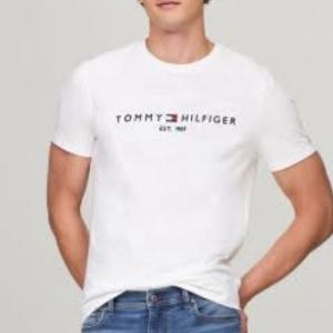 Wholesale Tommy Hilfiger T-Shirts – Export Manufacturer & Stock Lot Supplier